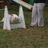 foire-haricots 2011-09-17et18